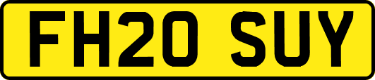 FH20SUY