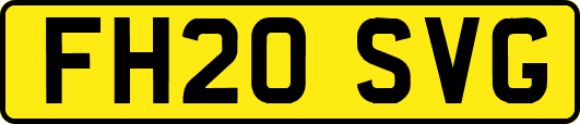 FH20SVG