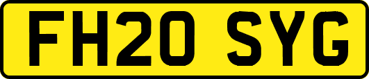 FH20SYG