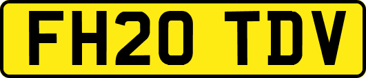 FH20TDV