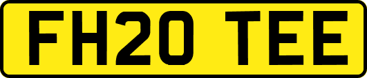 FH20TEE