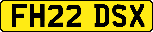 FH22DSX