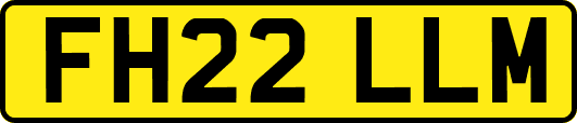 FH22LLM