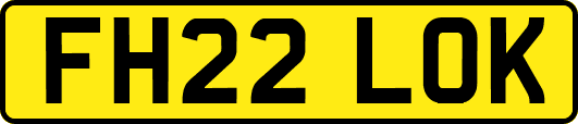 FH22LOK