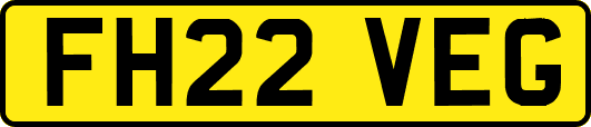 FH22VEG