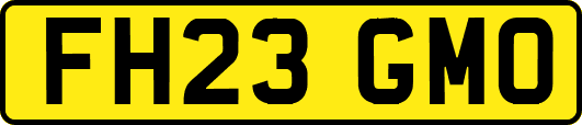 FH23GMO