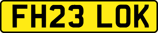 FH23LOK