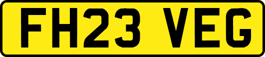 FH23VEG