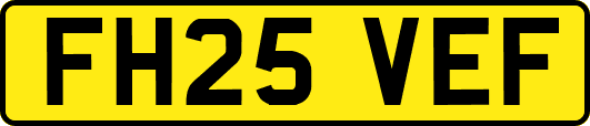 FH25VEF