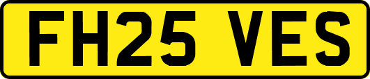 FH25VES