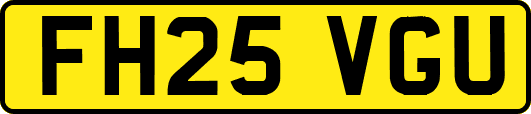 FH25VGU