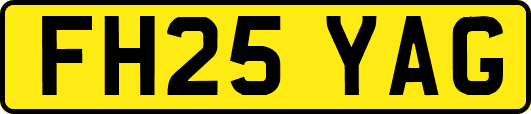 FH25YAG