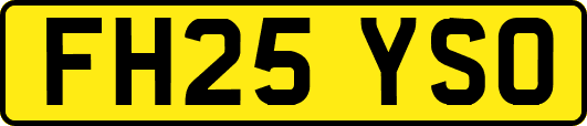 FH25YSO