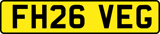 FH26VEG
