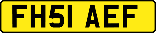 FH51AEF