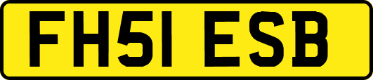 FH51ESB