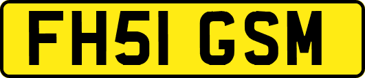 FH51GSM