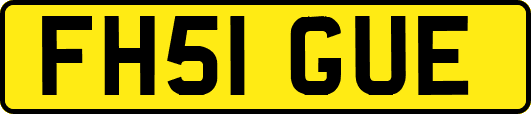 FH51GUE