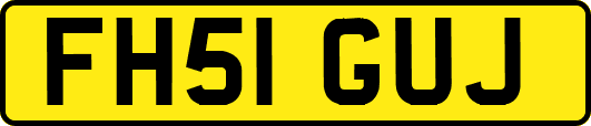 FH51GUJ