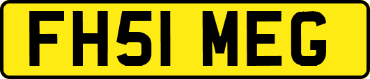 FH51MEG