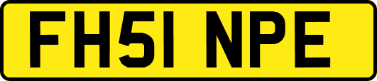 FH51NPE