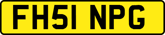 FH51NPG