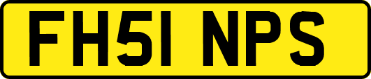 FH51NPS