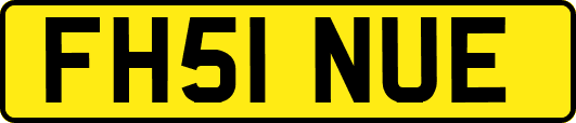 FH51NUE