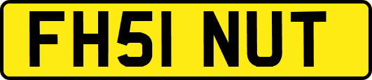 FH51NUT