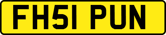 FH51PUN
