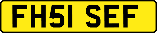 FH51SEF