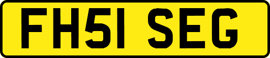 FH51SEG
