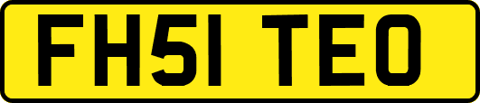 FH51TEO