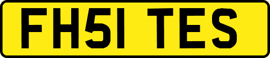 FH51TES