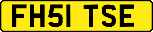FH51TSE