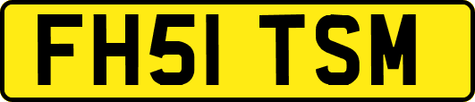 FH51TSM