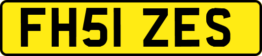 FH51ZES