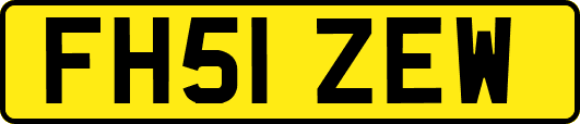 FH51ZEW