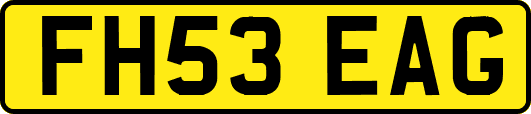FH53EAG