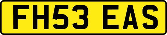 FH53EAS