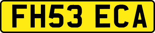 FH53ECA