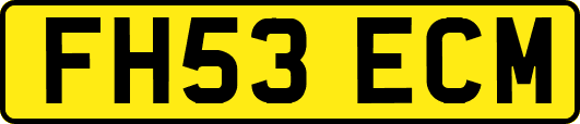 FH53ECM