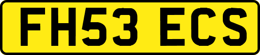 FH53ECS
