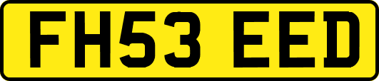 FH53EED