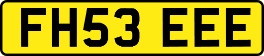 FH53EEE
