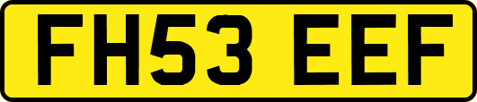 FH53EEF