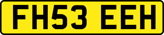 FH53EEH