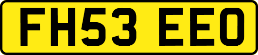 FH53EEO