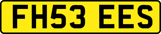 FH53EES