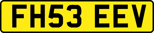 FH53EEV